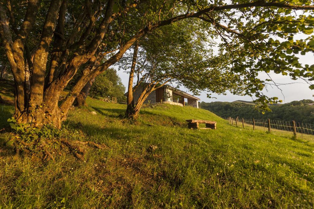 Cabanas Deluxe Basajaun Basoa By Irrisarri Land Igantzi Rom bilde